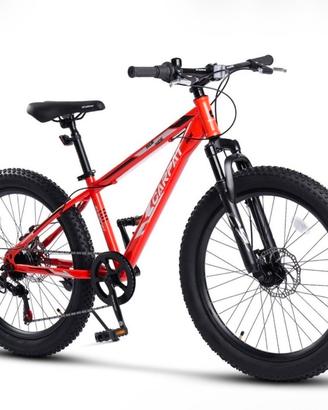 Bicicletta 24'' MTB Ragazzo