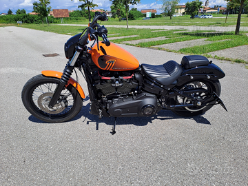 Harley-Davidson Softail Street Bob M8 114