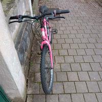 bici MTB ruote 24 pollici 