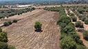 terreno-edificabile-s-v-caniga-san-giorgio-sas