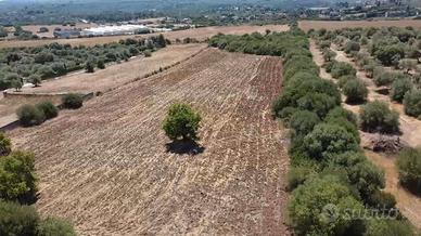 Terreno Edificabile - S.V. Caniga San Giorgio, Sas