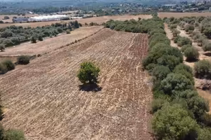 Terreno Edificabile - S.V. Caniga San Giorgio, Sas