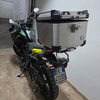 Splendida Benelli TRK 702 X 2024