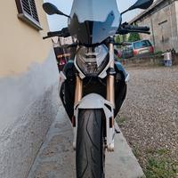 cupolino wunderlich BMW S1000R S 1000 R