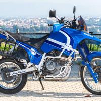 Suzuki Big DR 800-S