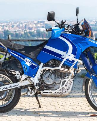 Suzuki Big DR 800-S