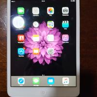 iPad Mini 1