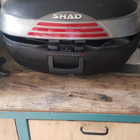 Bauletto t max