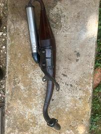 Marmitta giannelli rekord