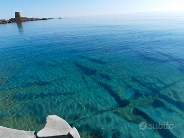Vacanze da sogno in sardegna