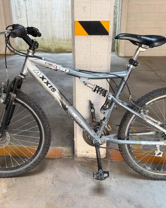 Mountain bike biammortizzata