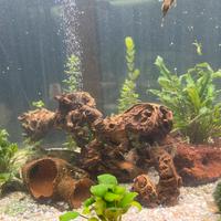 Acquario 500lt.