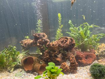 Acquario 500lt.