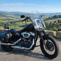 Harley Davidson sportster 1200n Nighster 2009