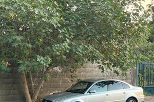 Volkswagen Passat asi