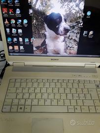 Computer portatile sony