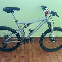 Bicicletta da discesa