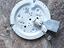 Immagine 2