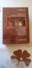 Storia del mondo Medievale 