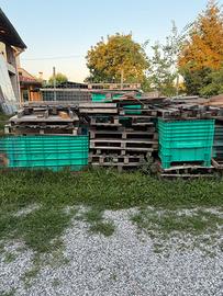 Pallet legna