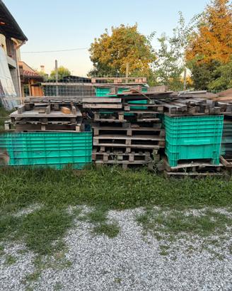 Pallet legna