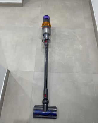 Dyson V15 detect absolute