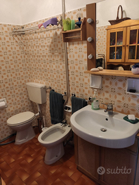 Grazioso bilocale panoramico