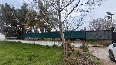 TERRENO RECINTATO AGRICOLO di 600 Mq CASALNUOVO