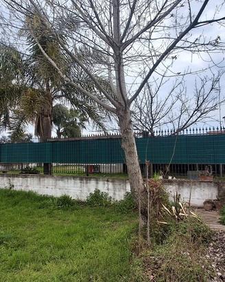 TERRENO RECINTATO AGRICOLO di 600 Mq CASALNUOVO