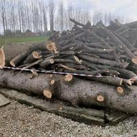 legna da ardere 