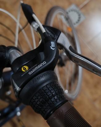 bicicletta PEDALATA ASSISTITA 