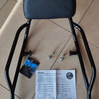 V7 850 - sissybar sissy bar