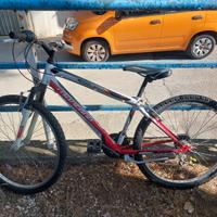 Bici mountaibike