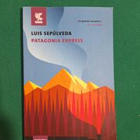 libro - Patagonia express