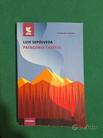libro - Patagonia express
