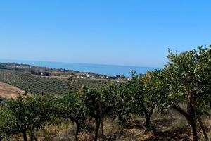 Terreno vista mare con possibilità di edificare