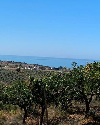 Terreno vista mare con possibilità di edificare