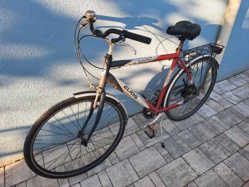 Bicicletta in alluminio da uomo