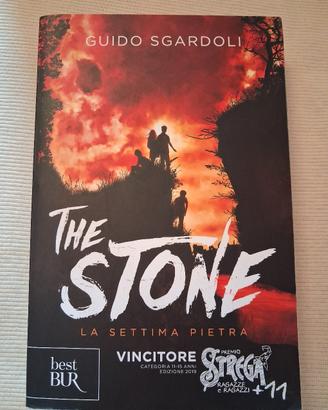 Libro The Stone