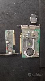 Scheda grafica NVIDIA Quadro malfunzionante