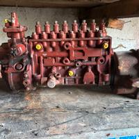 Pompa gasolio 190/48