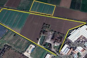 Vigarano Pieve - Complesso Immobiliare e Terreni