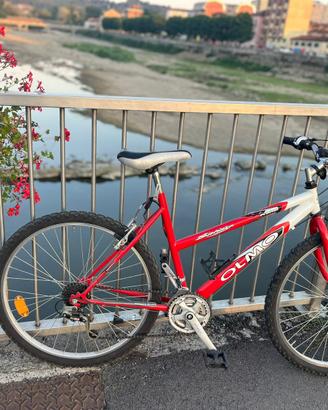 Bicicletta MTB OLMO ragazzo/a