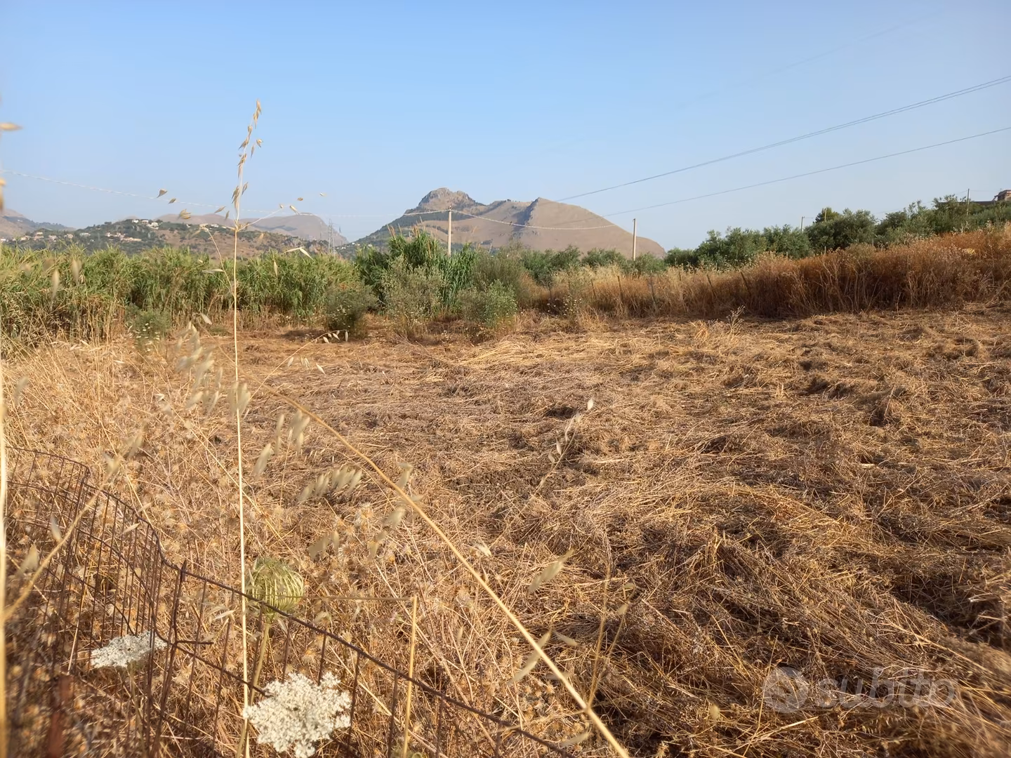 Terreno agricolo - Vista 3
