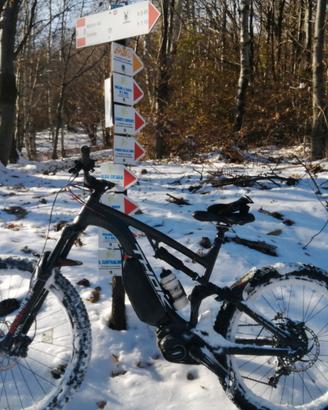 o permuto con vespa ebike Thok mig