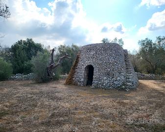 Terreno agricolo Calimera (LE)