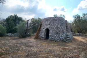 Terreno agricolo Calimera (LE)