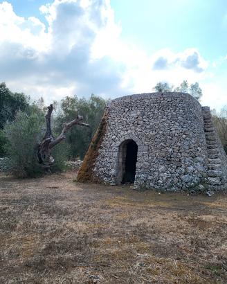 Terreno agricolo Calimera (LE)