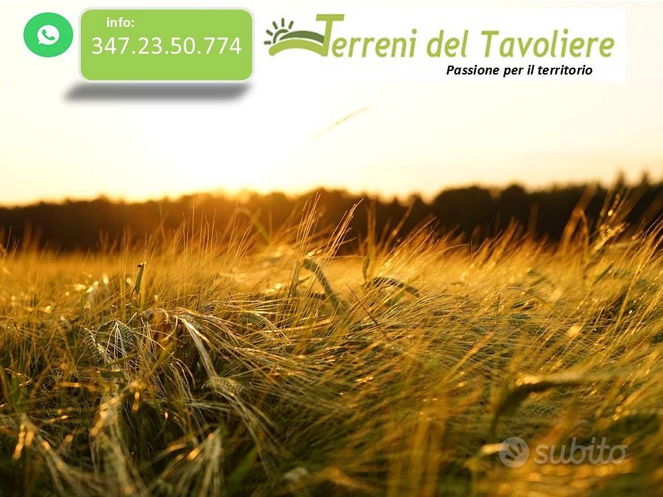 Terreno Agricolo Seminativo 5 Ettari San Severo - Vista 4