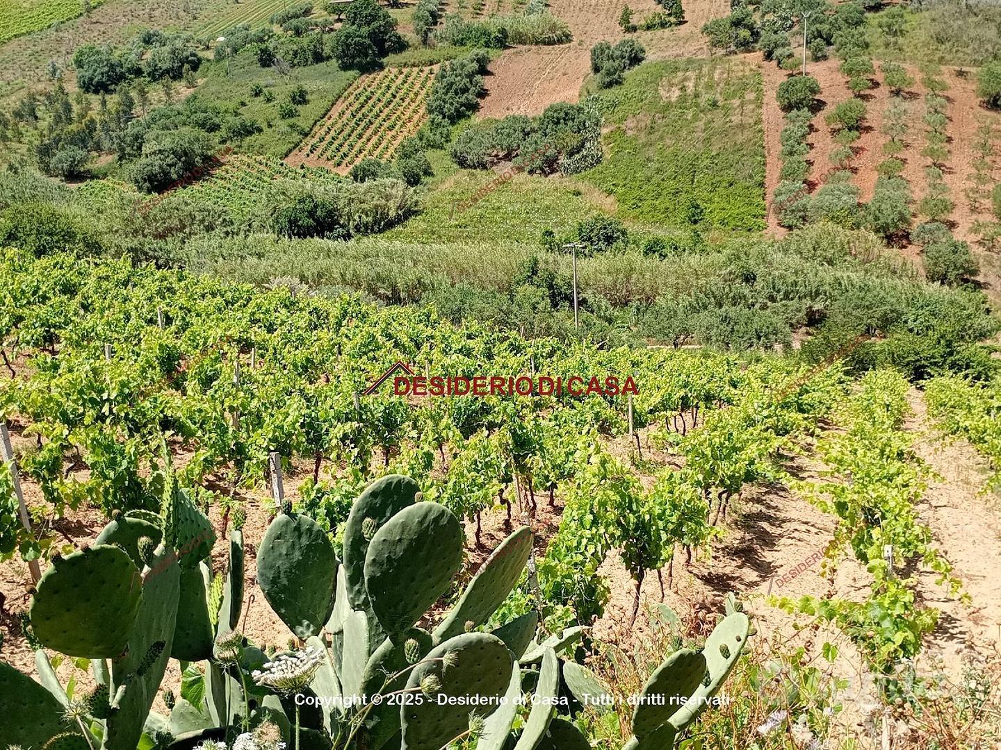 Terreno, Alcamo. - Altro